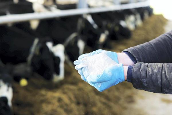 Postbiotics Gain Attention in Animal Feed Applications